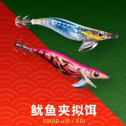 SQUID JIG / EGI