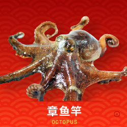 OCTOPUS