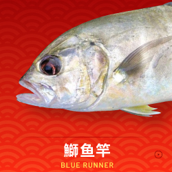 BLUE RUNNER