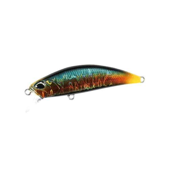 SPEARHEAD RYUKI 46S D3 Custom Lure's