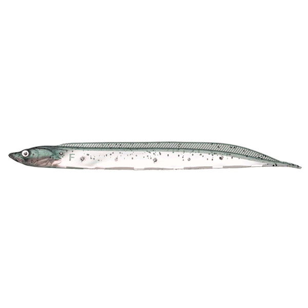 FLASH-J SHIRAUO 3" Feco